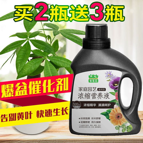 營養液、花肥料與生物有機肥 盆栽綠蘿養護與未來肥料研發趨勢