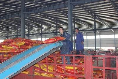 成長(zhǎng)之星 | 源科生物 治理農(nóng)業(yè)面源污染，從土壤修復(fù)開(kāi)始——生物有機(jī)肥料研發(fā)之路