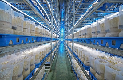 福建省首家農(nóng)業(yè)產(chǎn)業(yè)研究院落戶(hù)廈門(mén)翔安 專(zhuān)注生物有機(jī)肥料研發(fā)助力綠色農(nóng)業(yè)