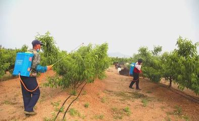 世代海洋生物科技 以科技與創(chuàng)新為雙翼，引領(lǐng)海帶行業(yè)與生物有機(jī)肥研發(fā)新篇章